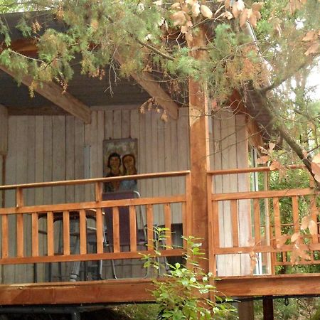 Chalet Dans Residence Privee ラ・ゴード エクステリア 写真